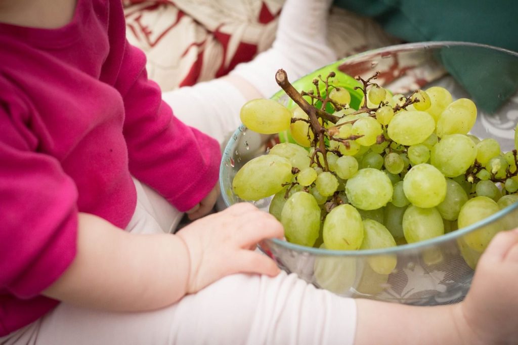 alimentación complementaria