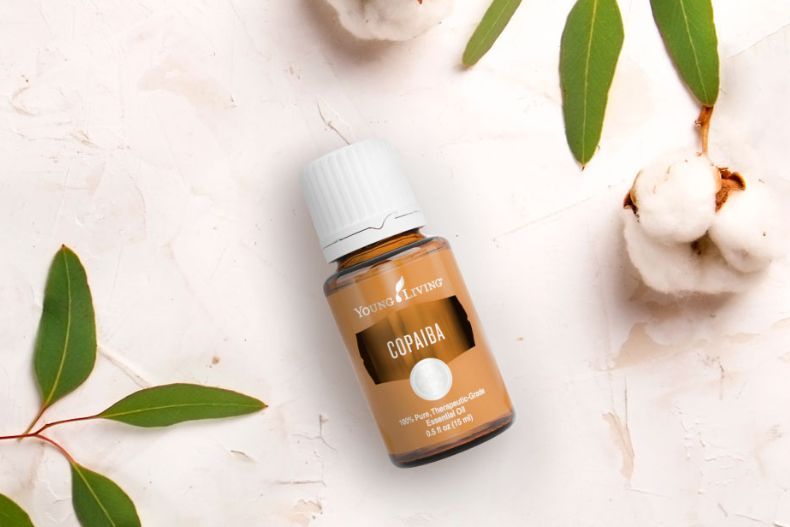 aceite esencial copaiba young living